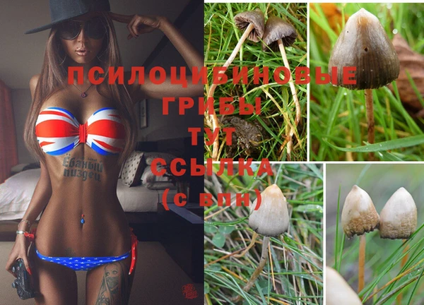 дживик Верхний Тагил
