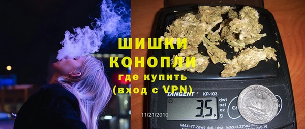 дживик Верхний Тагил