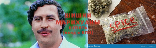 дживик Верхний Тагил