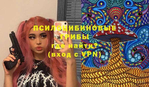 дживик Верхний Тагил